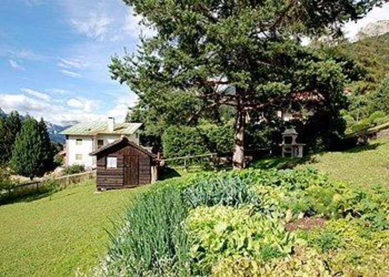 Dariz Simonetta   La Pineta